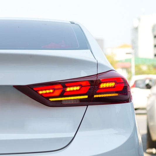 Tail Light Without Bulb Outer Half Assembly