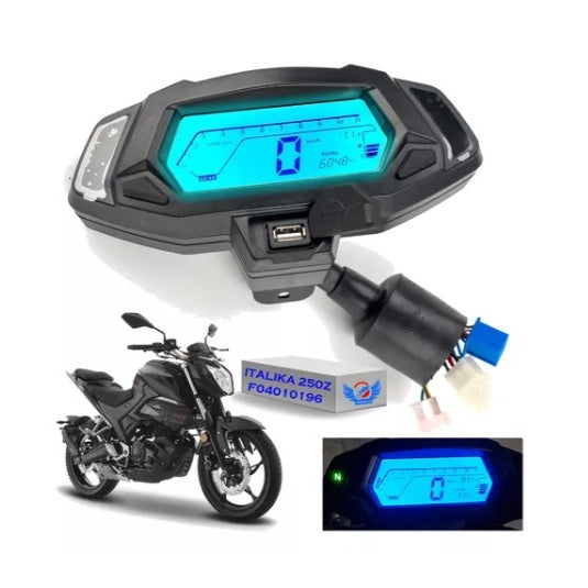 ITALIKA 250Z 2019-2024 Dashboard