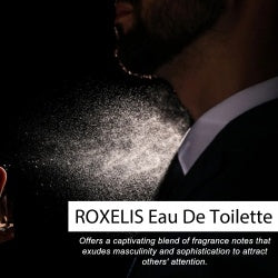 Roxelis Men's Eau De Toilette Spray Lasting Fragrance Fresh Natural Elegant Release Charm Dating Atmosphere Niche Perfume