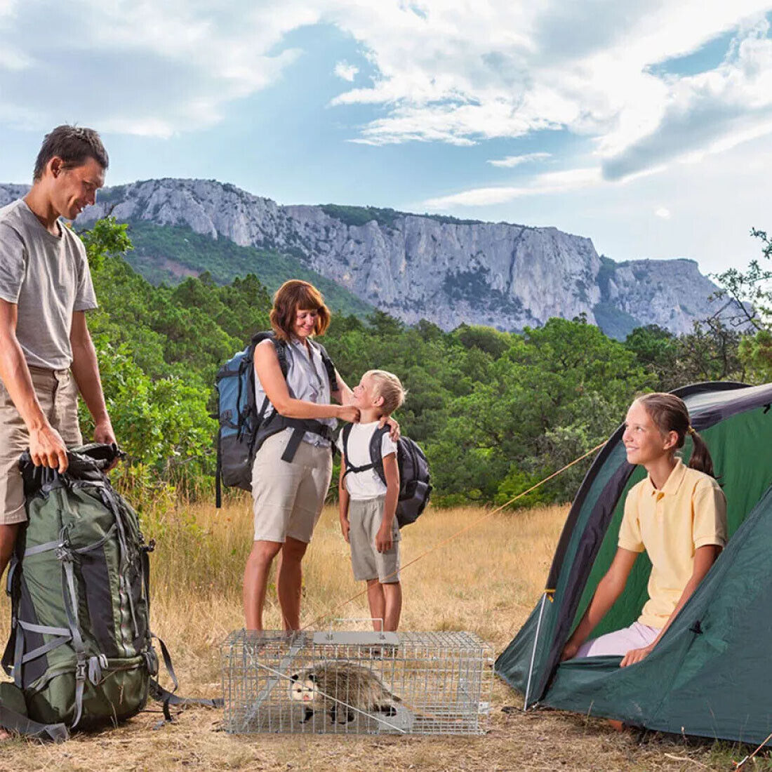 Live Animal Cage Trap Heavy Duty Folding Raccoon Traps Cat Trap Catch Release UK