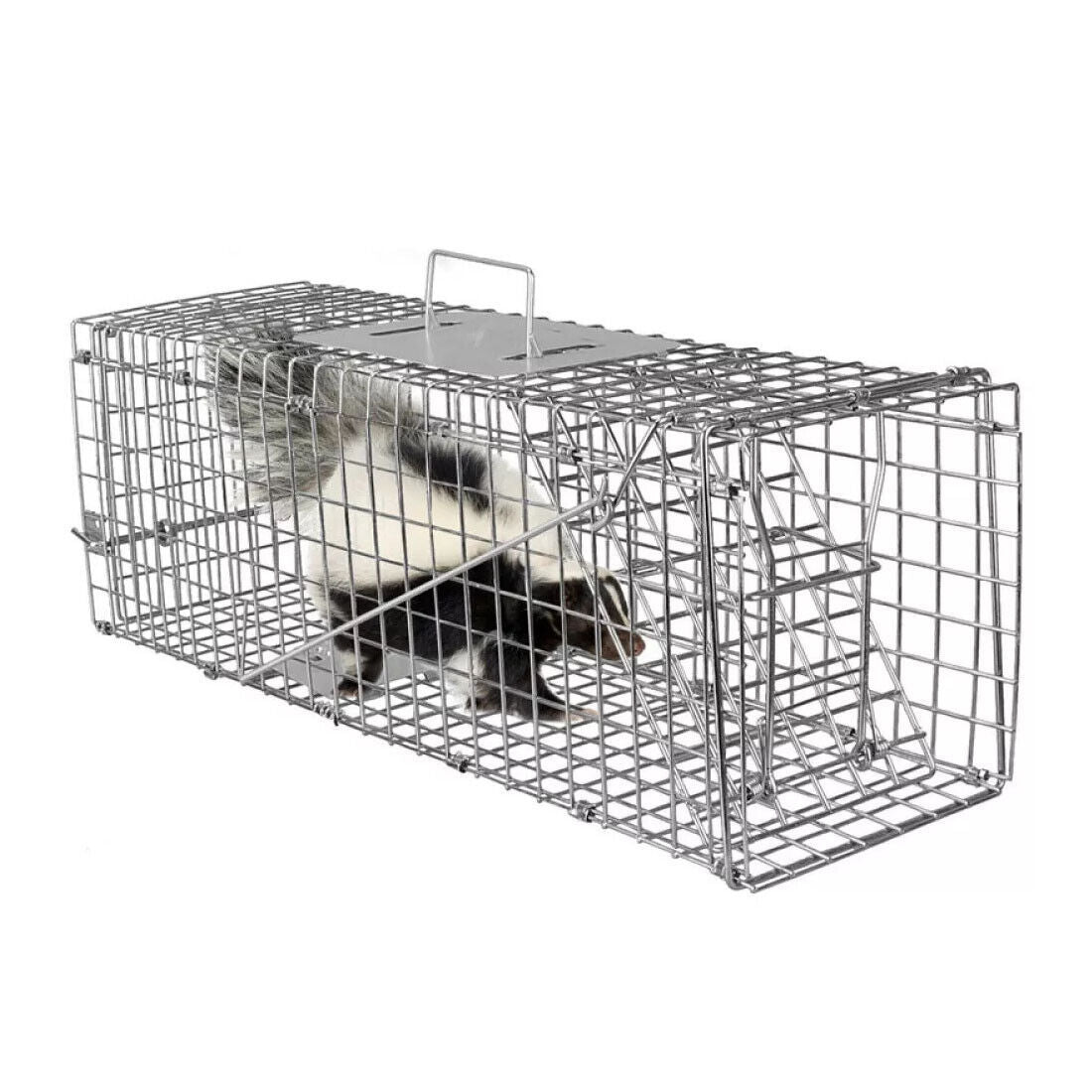 Live Animal Cage Trap Heavy Duty Folding Raccoon Traps Cat Trap Catch Release UK