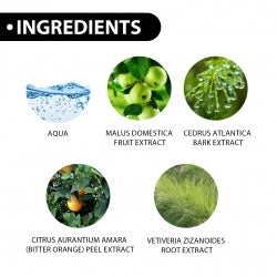 Roxelis Men's Eau De Toilette Spray Lasting Fragrance Fresh Natural Elegant Release Charm Dating Atmosphere Niche Perfume