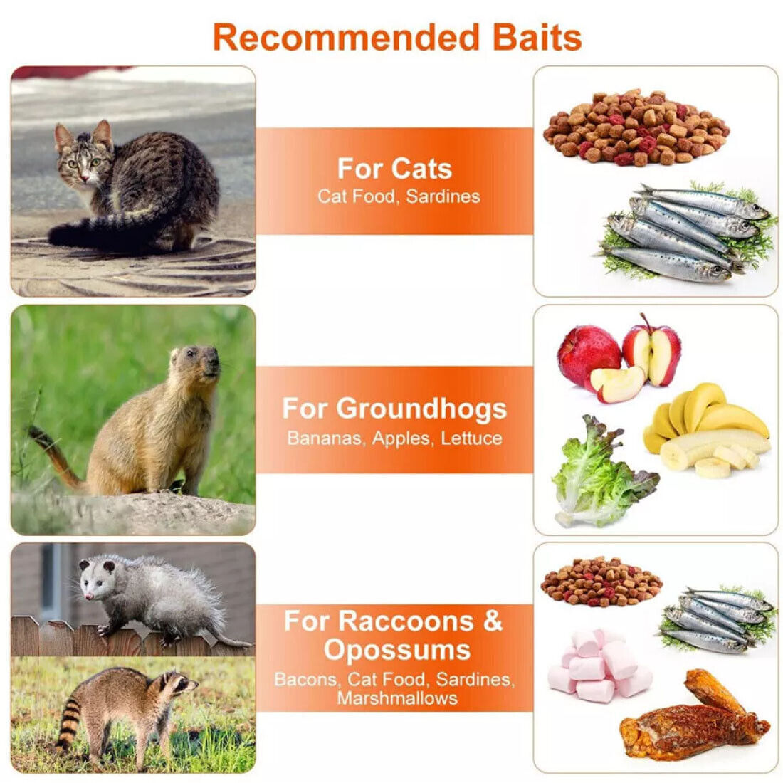 Live Animal Cage Trap Heavy Duty Folding Raccoon Traps Cat Trap Catch Release UK